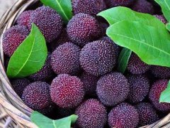 嘉弘塑料護目鏡專用PVC粒料，助力早日打贏疫情